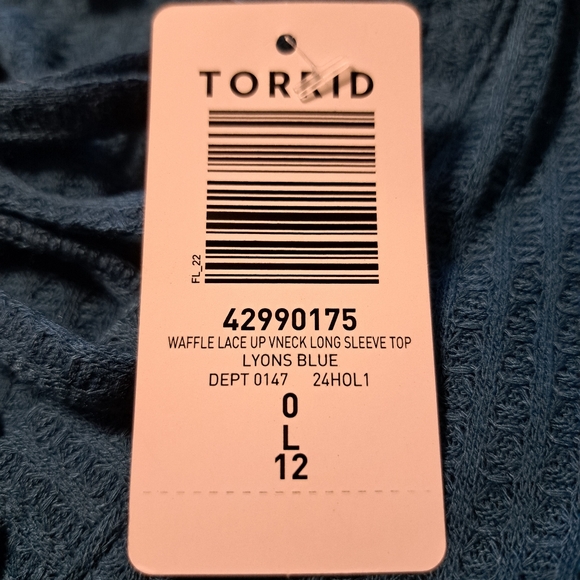 Torrid Top - Picture 8 of 13